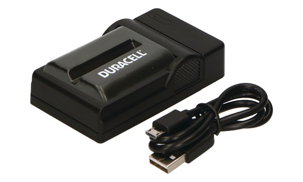 CCD-RV200 Charger