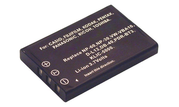 FErrari Digital Model 2004 Battery