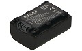 HDR-CX560 Battery (2 Cells)