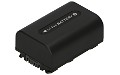 HandyCam HDR-TD20VE Battery (2 Cells)